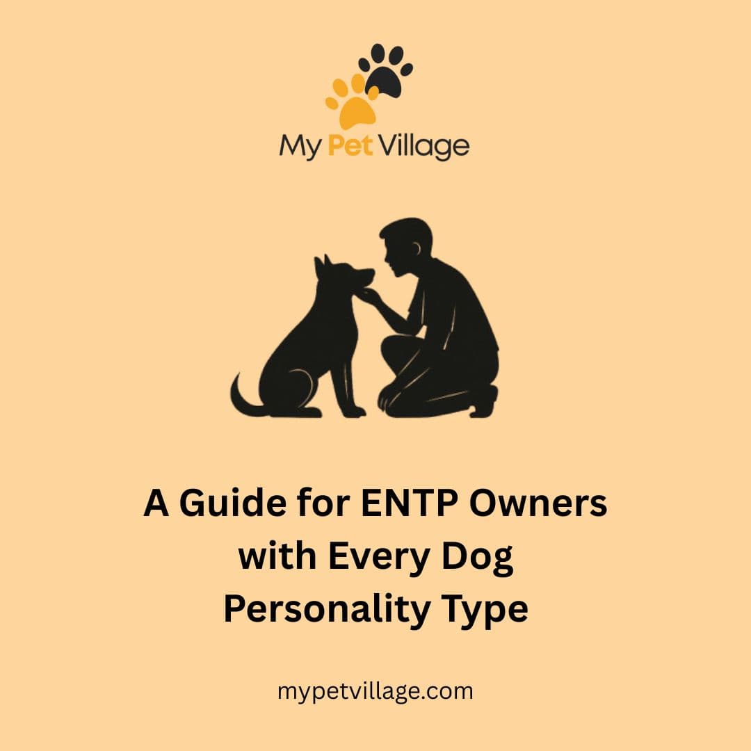 ENTP Owner & Every Dog Personality Type: MBTI Guide for Pet Bonding