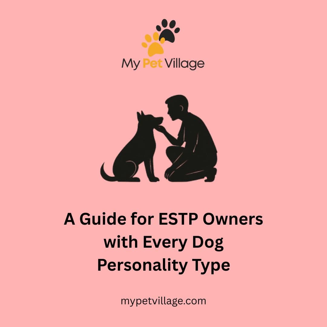 ESTP Owner & Every Dog Personality Type: MBTI Guide for Pet Bonding
