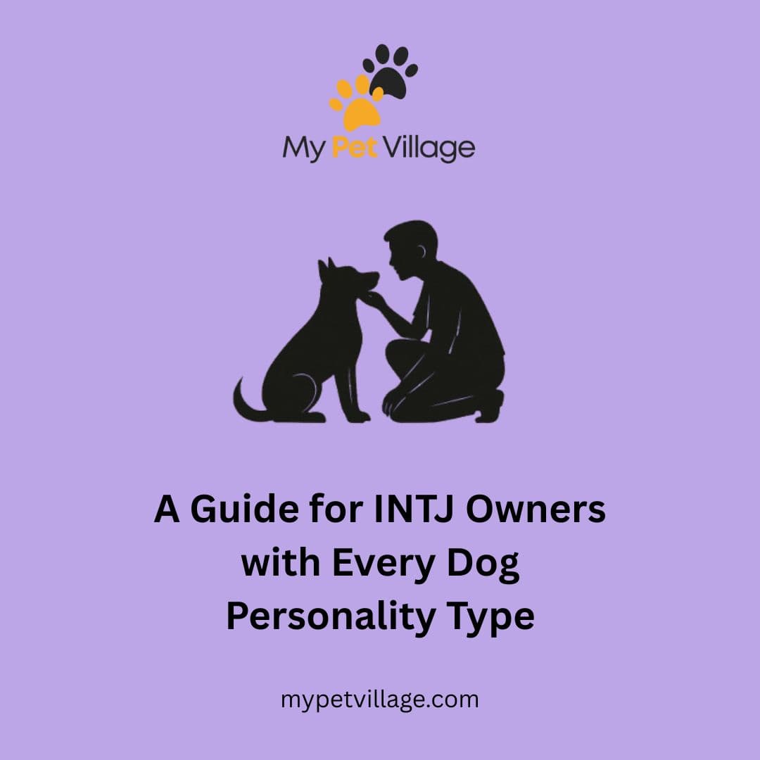 INTJ Owner & Every Dog Personality Type: MBTI Guide for Pet Bonding