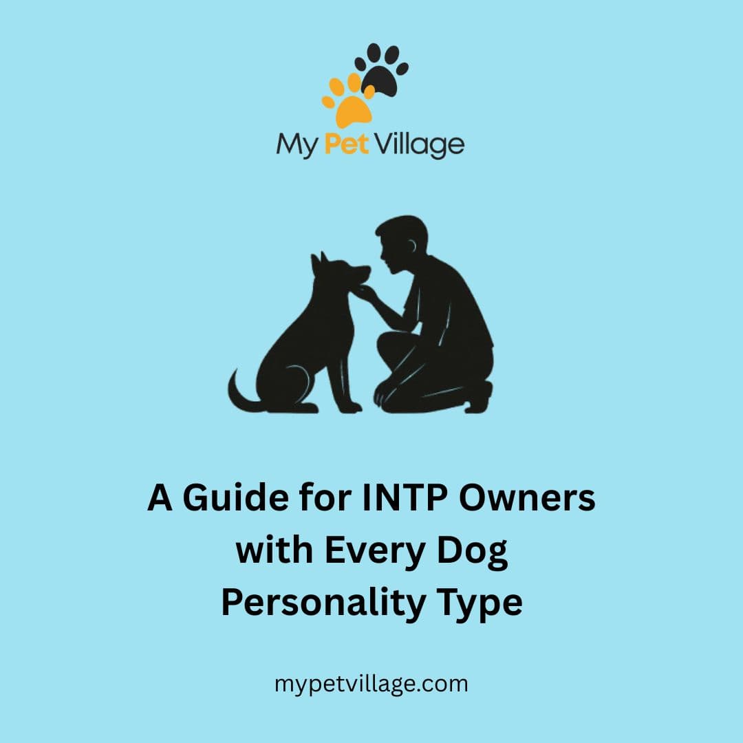 INTP Owner & Every Dog Personality Type: MBTI Guide for Pet Bonding