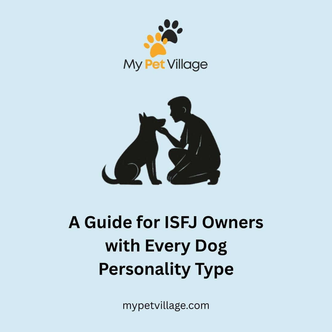 ISFJ Owner & Every Dog Personality Type: MBTI Guide for Pet Bonding
