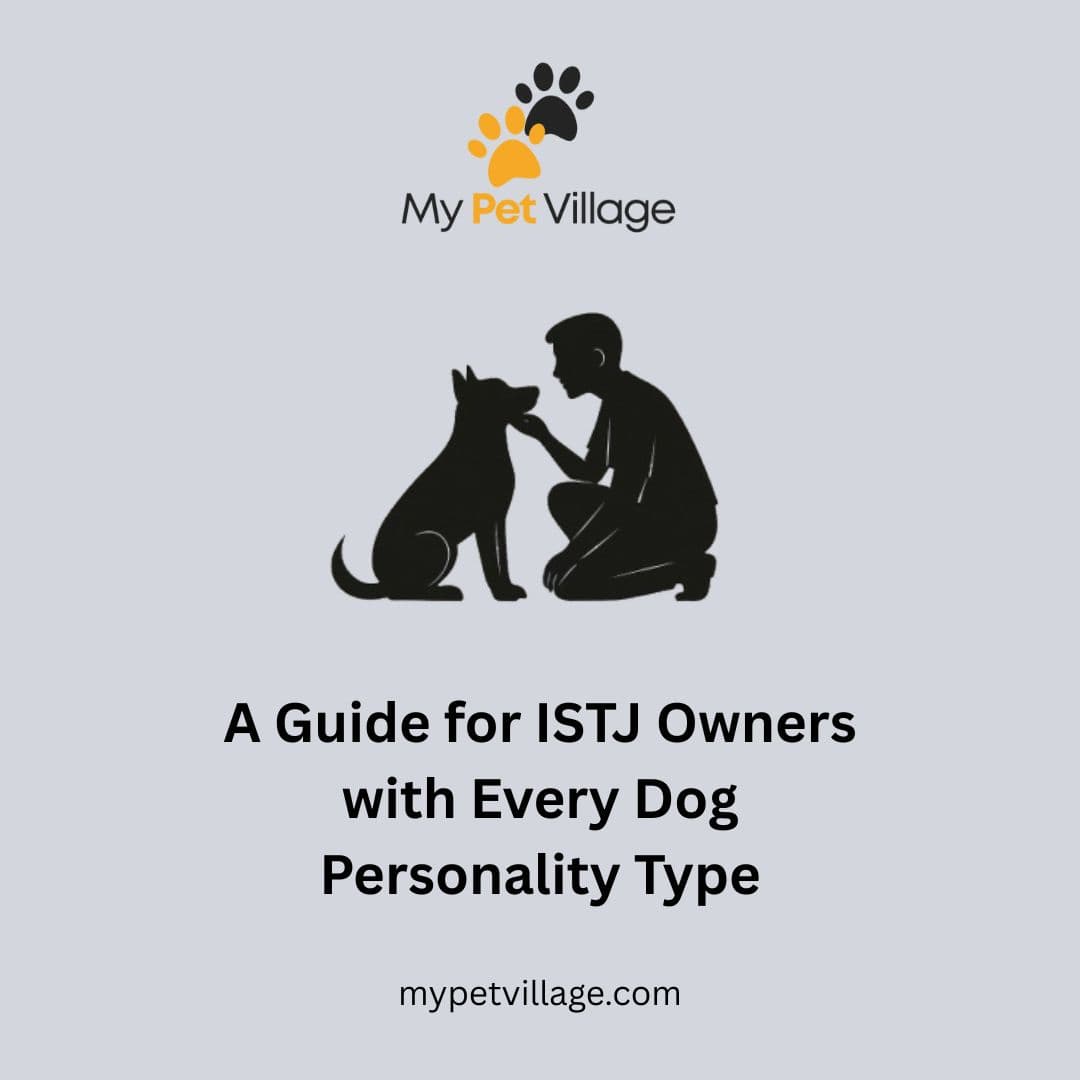 ISTJ Owner & Every Dog Personality Type: MBTI Guide for Pet Bonding