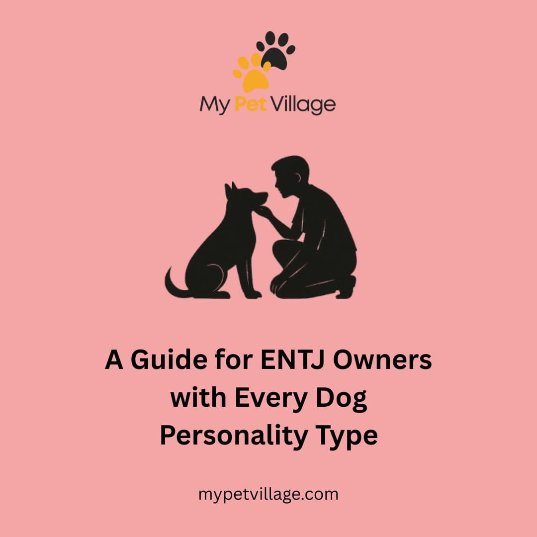 ENTJ Owner & Every Dog Personality Type: MBTI Guide for Pet Bonding