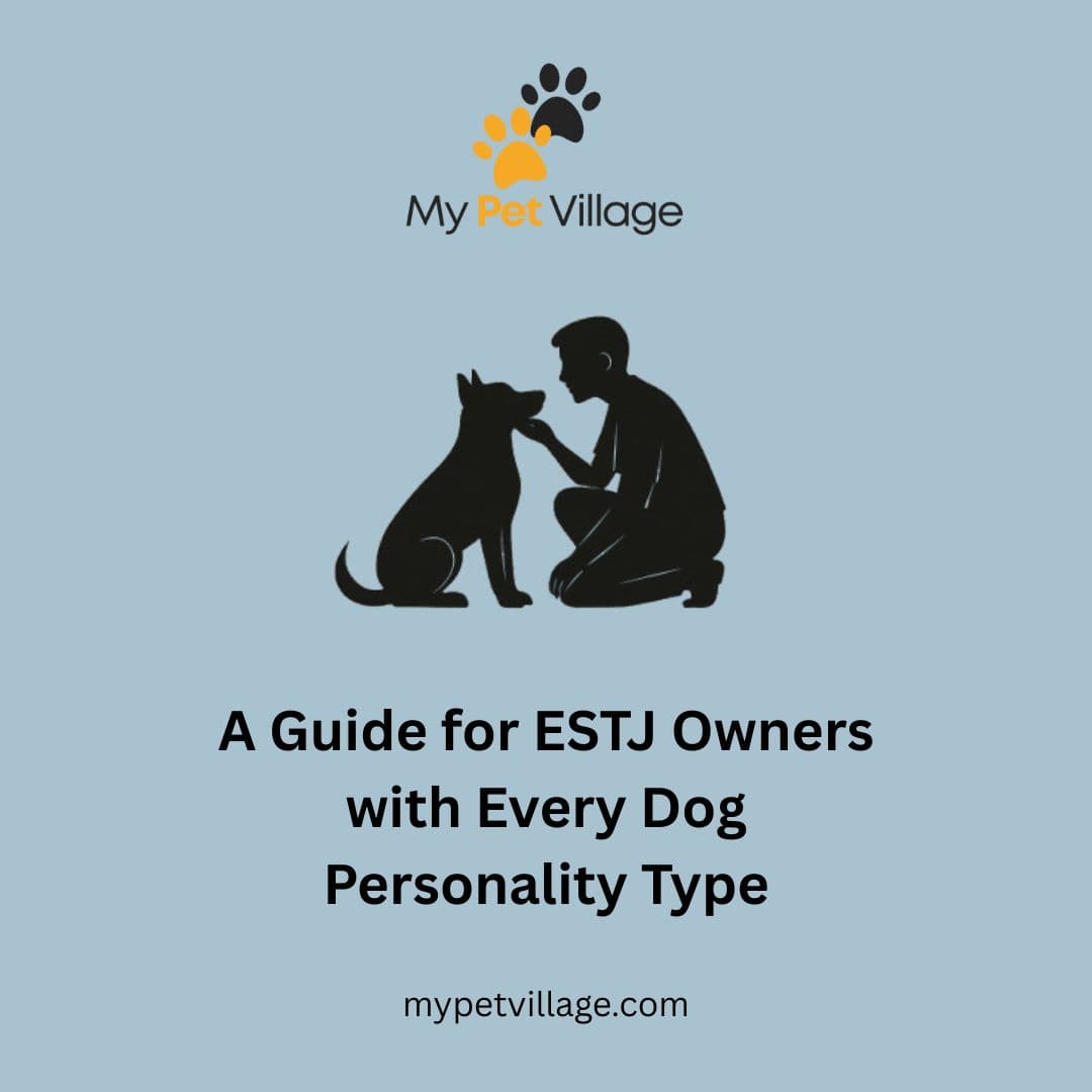 ESTJ Owner & Every Dog Personality Type: MBTI Guide for Pet Bonding
