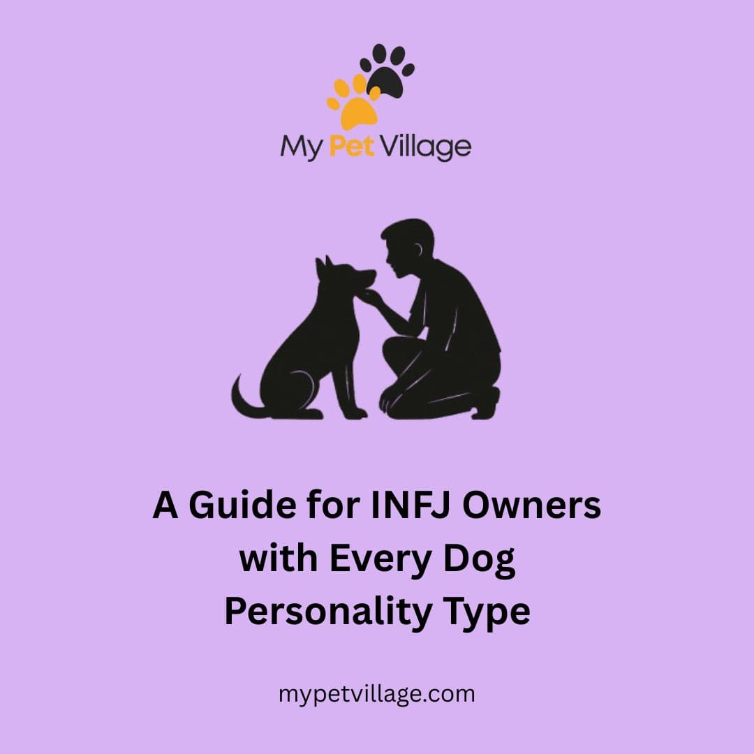 INFJ Owner & Every Dog Personality Type: MBTI Guide for Pet Bonding