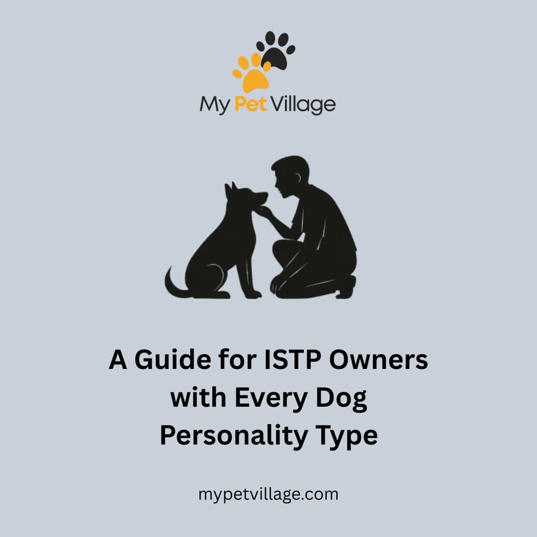 ISTP Owner & Every Dog Personality Type: MBTI Guide for Pet Bonding